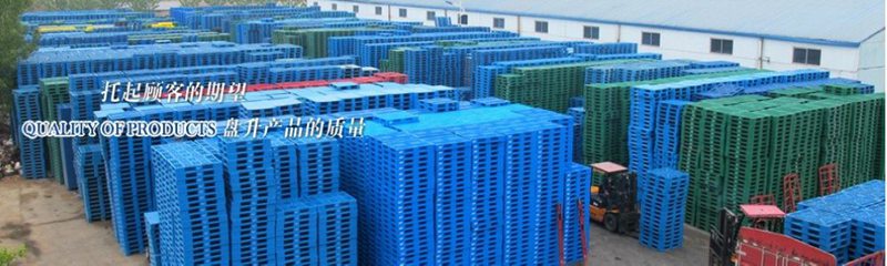 mg娱乐游戏平台
