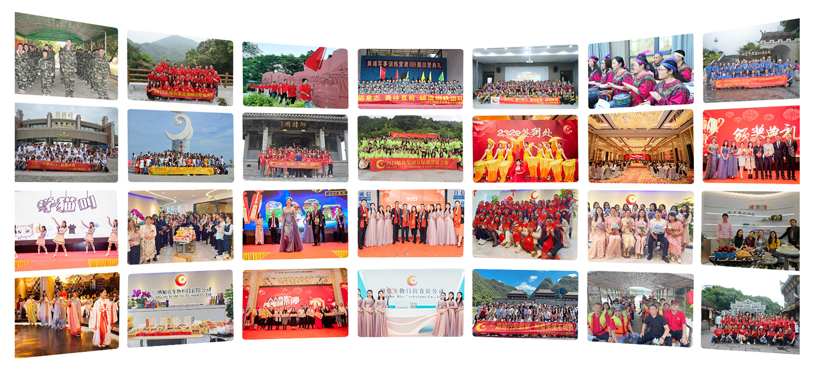 mg娱乐游戏平台